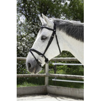 Bridão Norton Pro Combinado Preto