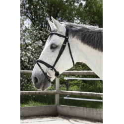 Bridão Norton Pro Combinado Preto Bridão Norton Pro Combinado Preto