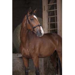 Bridão Norton Pro Combinado Preto Bridão Norton Pro Combinado Preto