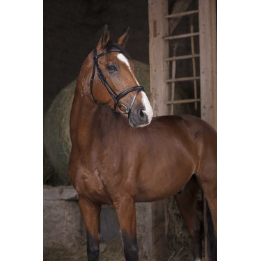 Bridão Norton Pro Combinado Preto Bridão Norton Pro Combinado Preto