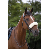 Capa de focinheira Equithème Teddy Cru Bege