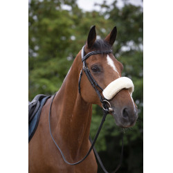 Capa de focinheira Equithème Teddy