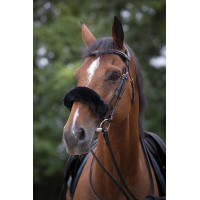 Capa de focinheira Equithème Teddy Preto
