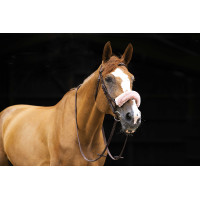 Capa de focinheira Equithème Teddy Azul-marinho