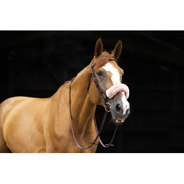 Capa de focinheira Equithème Teddy Ouro rosa