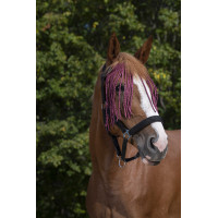 Frontal caça-moscas Norton Bordéus Bord&amp;ocirc;