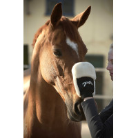 Luva de escovação Pénélope Preto