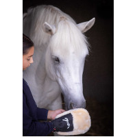 Luva de escovação Pénélope Preto