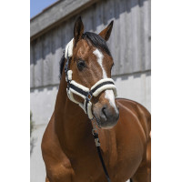 Caveção Norton Cosy Preto Caveção Norton Cosy Preto