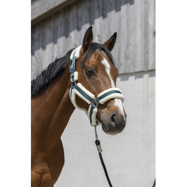 Caveção Norton Cosy Verde escuro