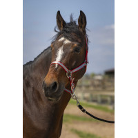 Cabeçada Norton Nylon Soft Vermelho