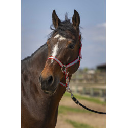 Cabeçada Norton Nylon Soft Vermelho