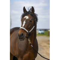 Caveção Equithème Nylon Check Marinho / castanho Azul