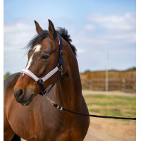 Caveção Equithème Nylon Check Preto / castanho Caveção Equithème Nylon Check Preto / castanho