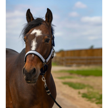 Caveção Equithème Nylon Check Marinho / preto Azul Caveção Equithème Nylon Check Marinho / preto Azul