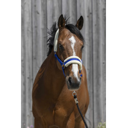 Cabeçada Riding World com lã sintética Azul royal Cabeçada Riding World com lã sintética Azul royal