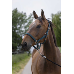 Caveção Norton Satine