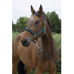 Caveção + guia Norton Large Verde escuro