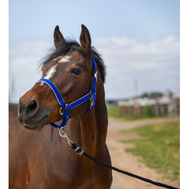 Caveção Equithème Nylon light Azul royal Caveção Equithème Nylon light Azul royal