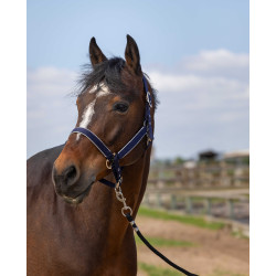 Caveção Equithème Nylon light Azul-marinho Caveção Equithème Nylon light Azul-marinho