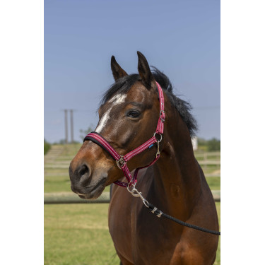 Cabezada Norton 4lines Bordéus Bord&amp;ocirc;