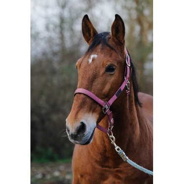 Caveção de Nylon com Mola Equithème Rosa Caveção de Nylon com Mola Equithème Rosa