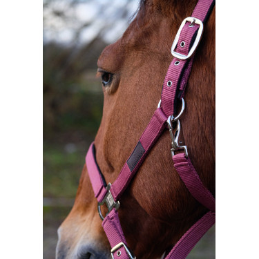Caveção de Nylon com Mola Equithème Rosa Caveção de Nylon com Mola Equithème Rosa
