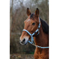 Caveção de Nylon com Mola Equithème Turquesa Azul Caveção de Nylon com Mola Equithème Turquesa Azul