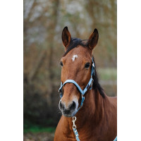 Caveção de Nylon com Mola Equithème Verde escuro Caveção de Nylon com Mola Equithème Verde escuro