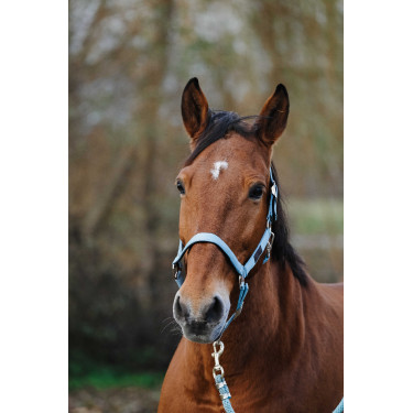 Caveção de Nylon com Mola Equithème Turquesa Azul