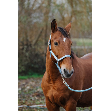 Caveção de Nylon com Mola Equithème Turquesa Azul