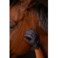 Luvas Eden by Pénélope Prisma Strass