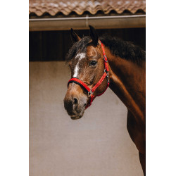 Cabresto de nylon Equithème Jacquard Vermelho Cabresto de nylon Equithème Jacquard Vermelho