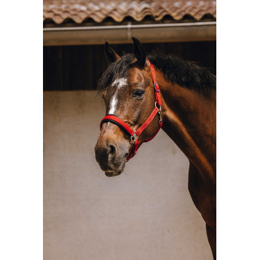 Cabresto de nylon Equithème Jacquard Vermelho Cabresto de nylon Equithème Jacquard Vermelho