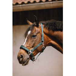 Cabresto de nylon Equithème Jacquard Verde