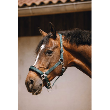 Cabresto de nylon Equithème Jacquard Verde