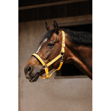 Cabresto de nylon Equithème Jacquard Ouro
