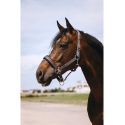 Cabresto de nylon Equithème Jacquard Cinzento