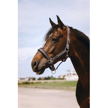 Cabresto de nylon Equithème Jacquard Cinzento