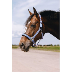 Cabresto de nylon Equithème Jacquard Azul céu
