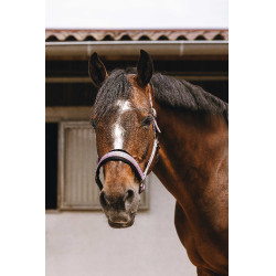 Cabresto de nylon Equithème Jacquard Rosa