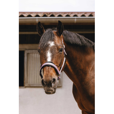 Cabresto de nylon Equithème Jacquard Rosa