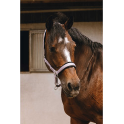 Cabresto de nylon Equithème Jacquard Lilás Azul