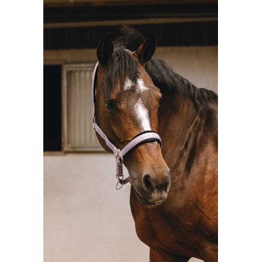 Cabresto de nylon Equithème Jacquard Lilás Azul