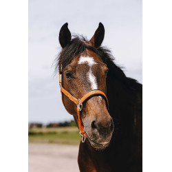 Cabresto de nylon Equithème Jacquard Laranja