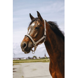 Cabresto de nylon Equithème Jacquard  Cinzento-acastanhado Castanho