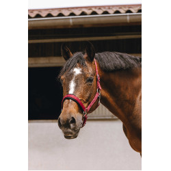Cabresto de nylon Equithème Jacquard Bordéus Bord&amp;amp;amp;amp;amp;ocirc;