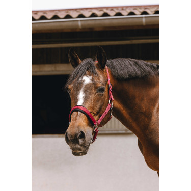 Cabresto de nylon Equithème Jacquard Bordéus Bord&amp;amp;amp;amp;amp;ocirc;