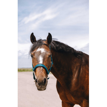 Cabresto de nylon Equithème Jacquard Azul petróleo