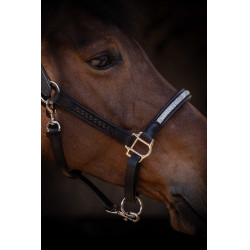 Caveção Pénélope Harmonie Preto